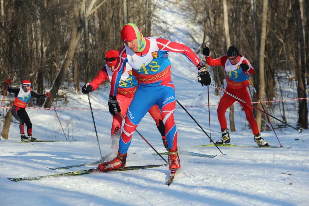 Сайт лыжника. Лыжные гонки. Лыжные гонки Витебск. Родина лыжного спорта. Лыжный спорт Ульяновск.