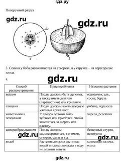 Лабораторная работа 7 класс пасечник