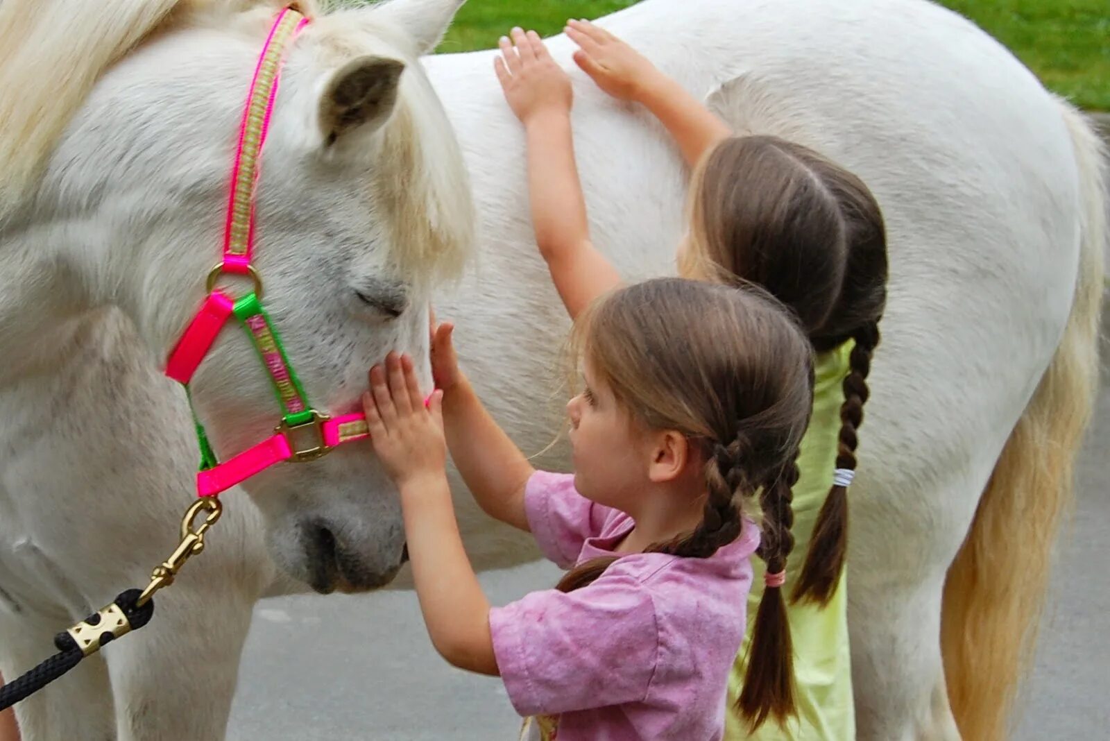 Horse kids. Horse and Kids. Two White Horses Kids. Horse and child. Stick Horse Kid.