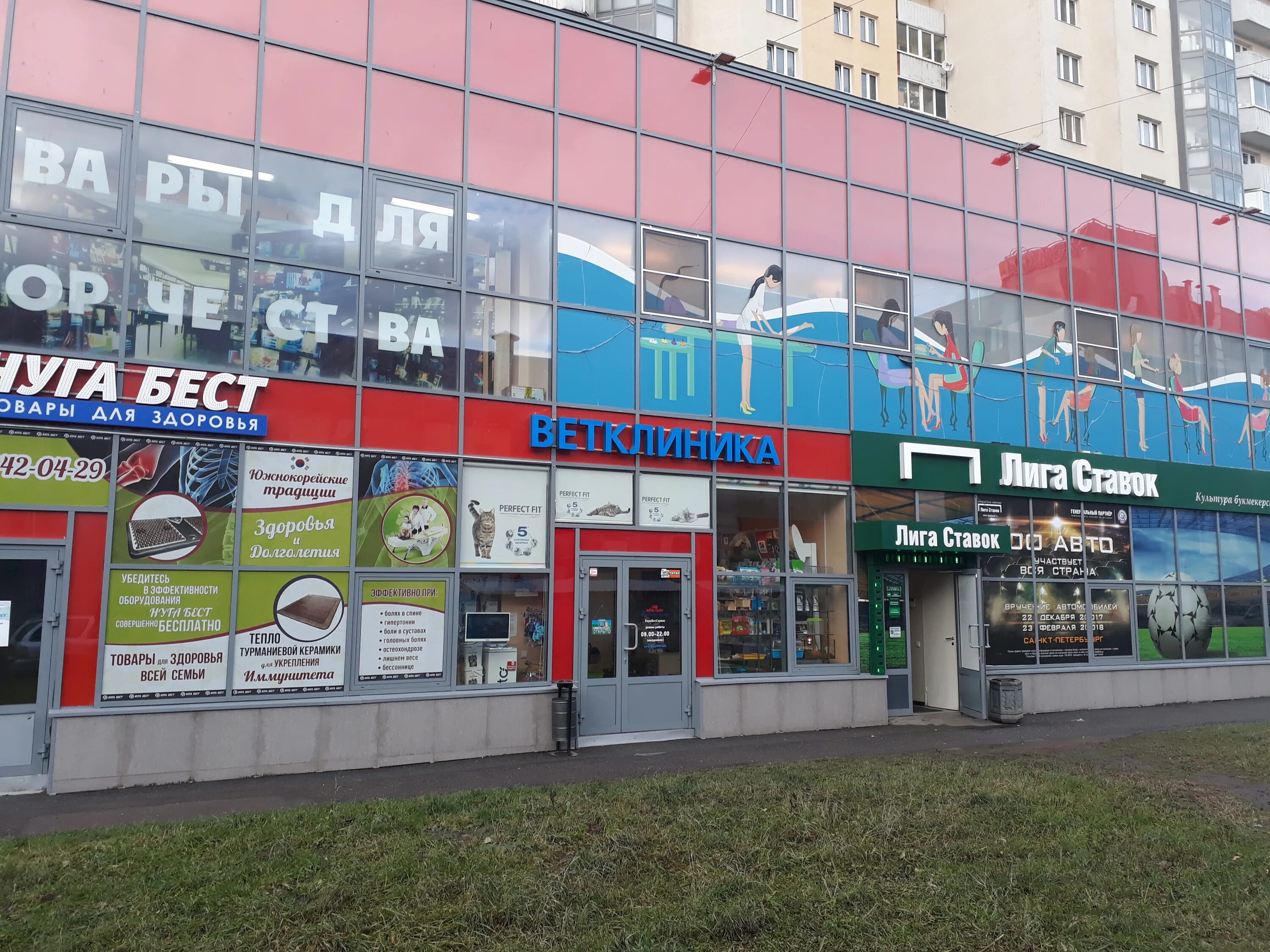 Фадеева Наталья - грумер - Санкт-Петербург - Zoon.ru