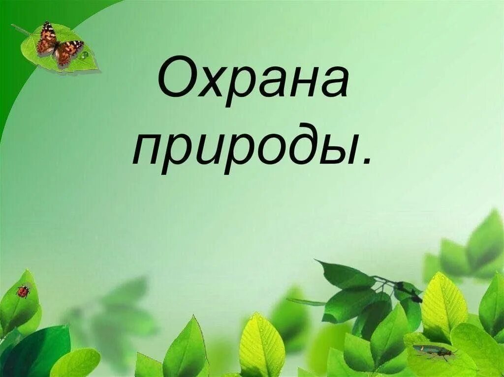 Отчет по летней оздоровительной работе. Урок окружающий мир. Отчет по летней оздоровительной работе во второй младшей группе.