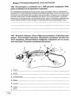 Лабораторная работа 7 по биологии 6 класс