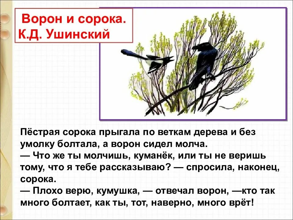 Читать ушинского 1 класс. К Д Ушинский ворон и сорока. Рассказ Ушинского ворон и сорока. Ворон и сорока Ушинский презентация.