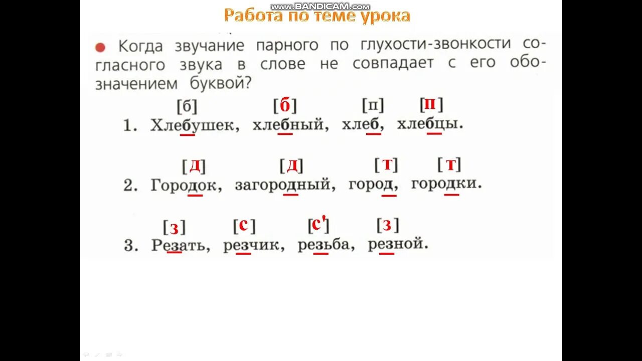 Звонкие согласные в середине слова. Правописание слов с парным по глухости-звонкости. Правописание слов с парными по глухости звонкости согласными 2 класс. Парный согласный по глухости звонкости 2 класс. Парные по глухости-звонкости согласные слова.