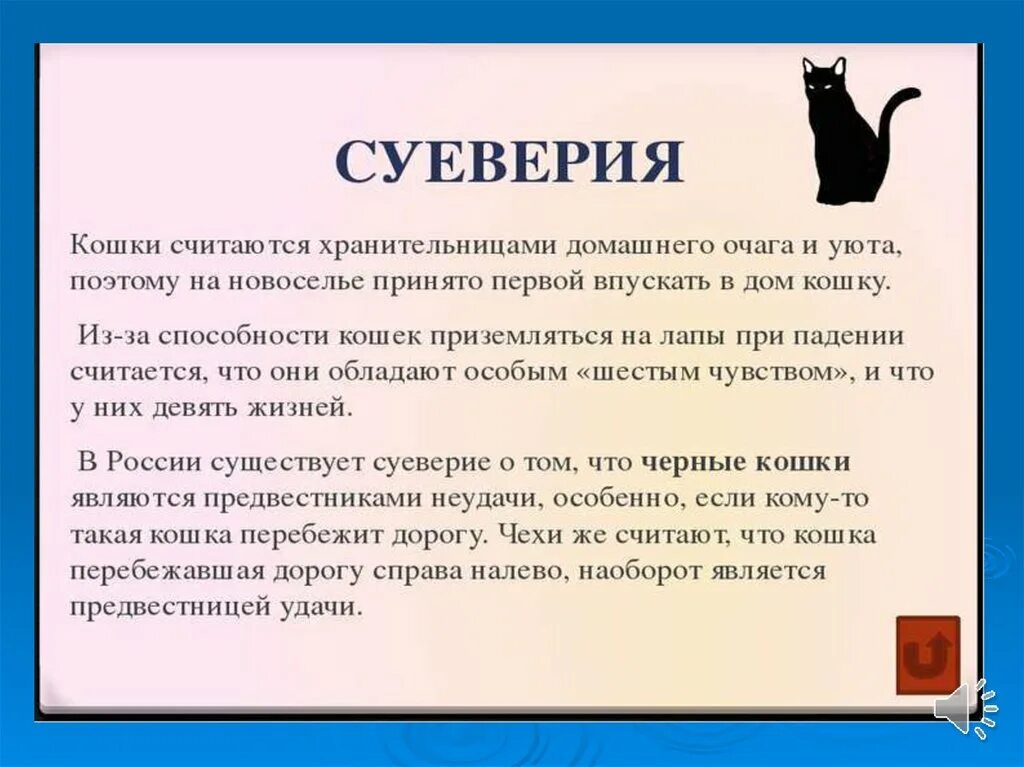 Почему кошка умирает дома. Приметы и суеверия про кошек. Приметы о котах и кошках. Высказывания о котах в доме. Поверья связанные с кошками.