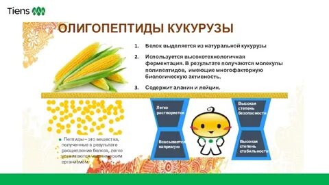 Кукуруза белки