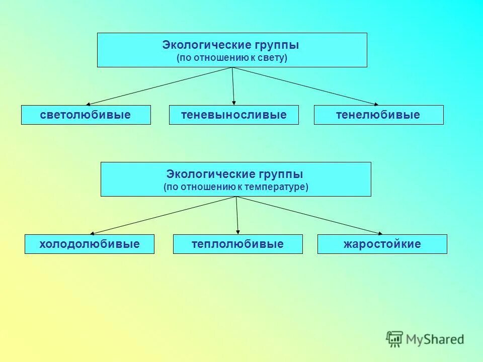 Экологические группы