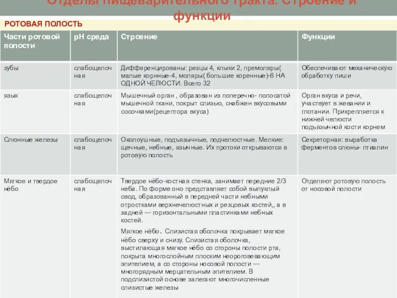 Пищеварительная система таблица название органа строение и функции. Таблица по биологии строение и функции пищеварительной системы. Таблица по биологии органы пищеварения строение функции. Таблица отдел ротовая полость. Пищеварительная система характеристика кратко