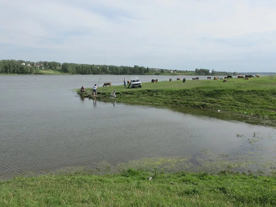 Поселок комсомольский алтайский край