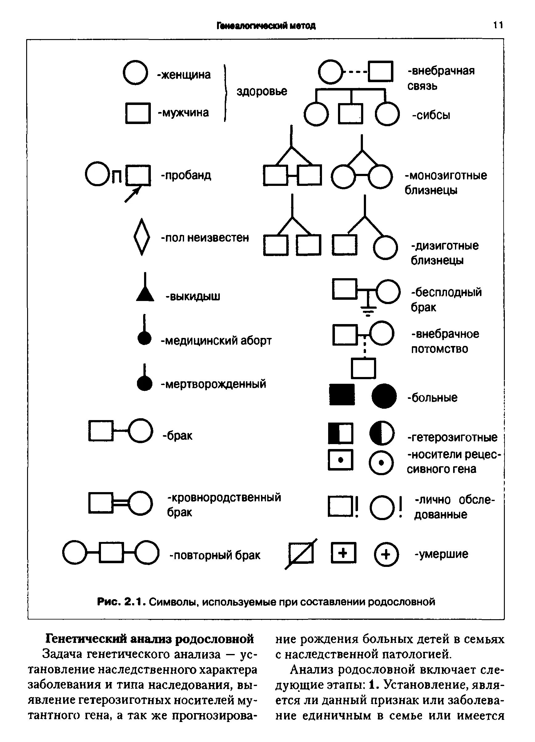 Условные обозначения генетики. Генеалогический метод схема родословной. Генеалогический метод обозначения. Основная схема генеалогического метода. Генеалогический метод родословная схема.