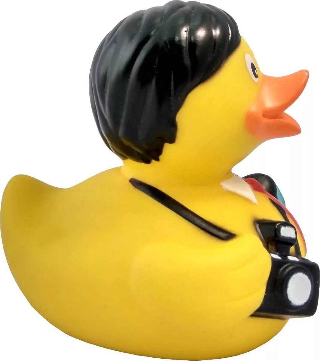 Funny ducks