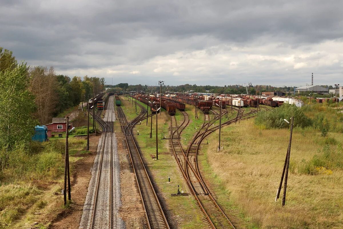 Жд станция березки дачные. Станция березы псков. Станция березки псков. Станция березки дачные. Станция березки псковская область.
