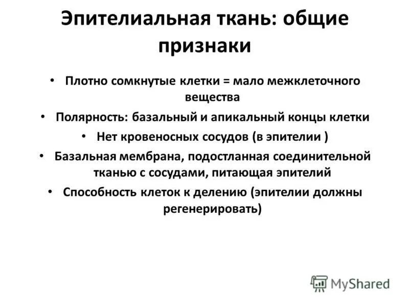 болезненный инфильтрат. плотная оформленная соединительная ткань с эластическими волокнами. какие особенности характерны для соединительной ткани. признаки характерные для соединительной ткани человека. плотный признак.