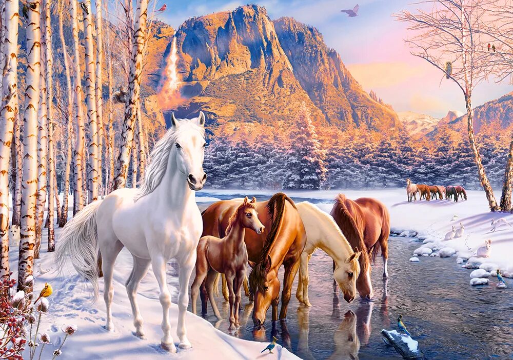 Лошади времен года. Пазлы Castorland 500. Пазлы Касторленд зимние пейзажи. Лошади зимой. Красивые пейзажи с лошадьми.