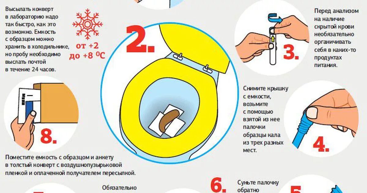 Сколько хранится кал для анализа. Сколько можно хранить кал для анализа. Как собрать калл для анализа. Хранение кала для анализа в холодильнике. Копрограмма можно хранить кал в холодильнике