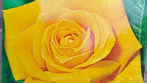 Мен метрода еңкейдім, шалбарым жарылып кетті.