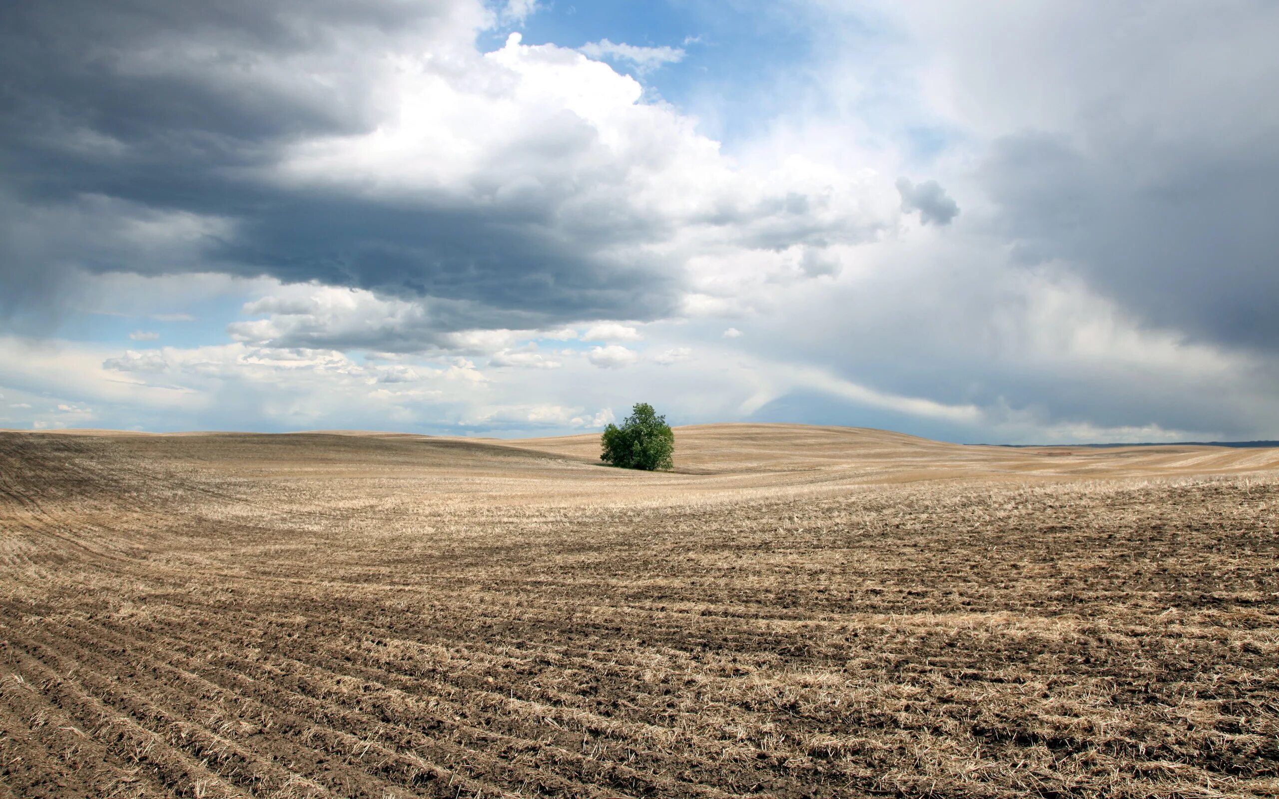 Заканчиваются сезонные работы поля пустеют вариант 4. Ранняя осень поле. Поле пшеницы у дороги. Русский язык 7 класс ладыженская номер 213. Земля поле.