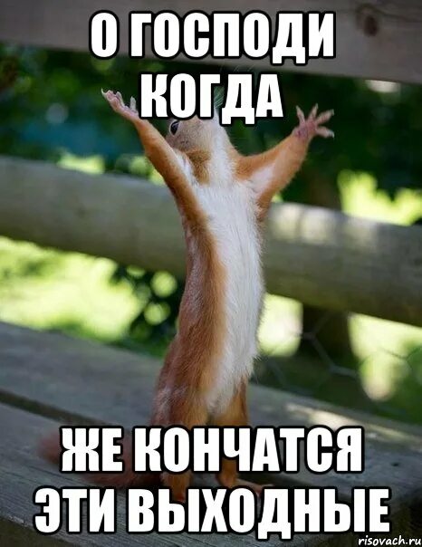 Кончилась работа