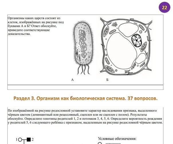 Какому царству принадлежит данная клетка. Какая клетка изображена на рисунке. Какие царства состоят из клеток. Клетки каких Царств на рисунке. Организмам каких Царств принадлежат изображенные на рисунке клетки.