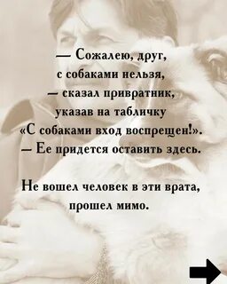 Бросил близкий друг