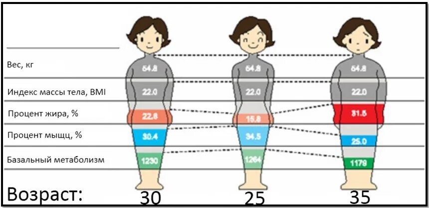 Возраста нужно в первую. Метаболизм и Возраст. Скорость основного обмена веществ. Возраст человека. Как узнать метаболический Возраст.