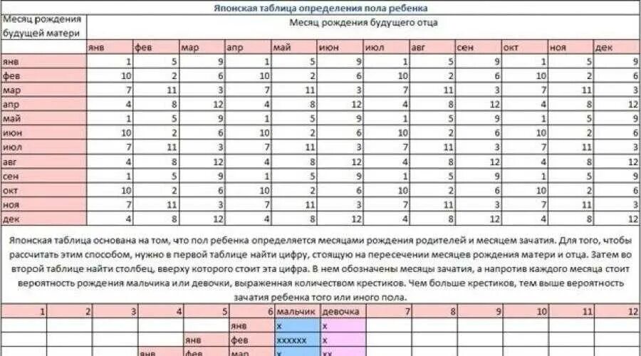 Определение даты зачатия. Как определить пол ребенка на 12 неделе. Таблица определения пола ребенка. Определить пол ребёнка Поузи. Как узнать пол будущего ребенка на УЗИ.