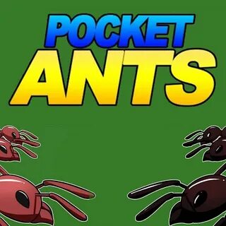 Ant colony
