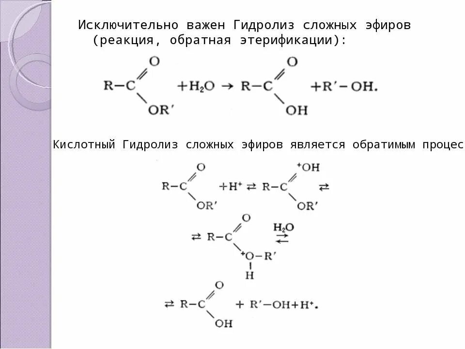 Щелочной гидролиз изопропилацетата реакция. Кислотный гидролиз сложных эфиров механизм. Механизм кислотного катализа гидролиза сложных эфиров. Кислый гидролиз сложных эфиров механизм. Механизм реакции гидролиза сложных эфиров.