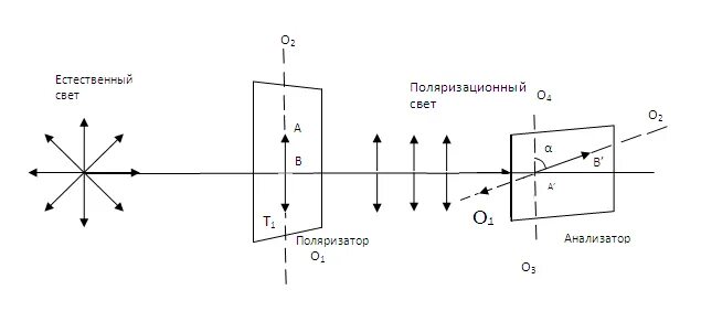 Ось поляризации. Ось поляризации