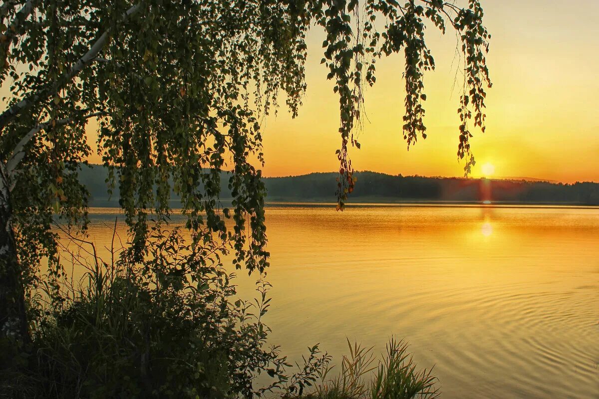 На воде дрожит золотая сеть солнечных
