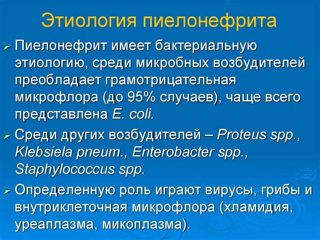 Неосложненный пиелонефрит. Пиелонефрит этиология. Пиелонефрит этиология и патогенез. Этиология гамилонефрита. Хронический пиелонефрит этиология.