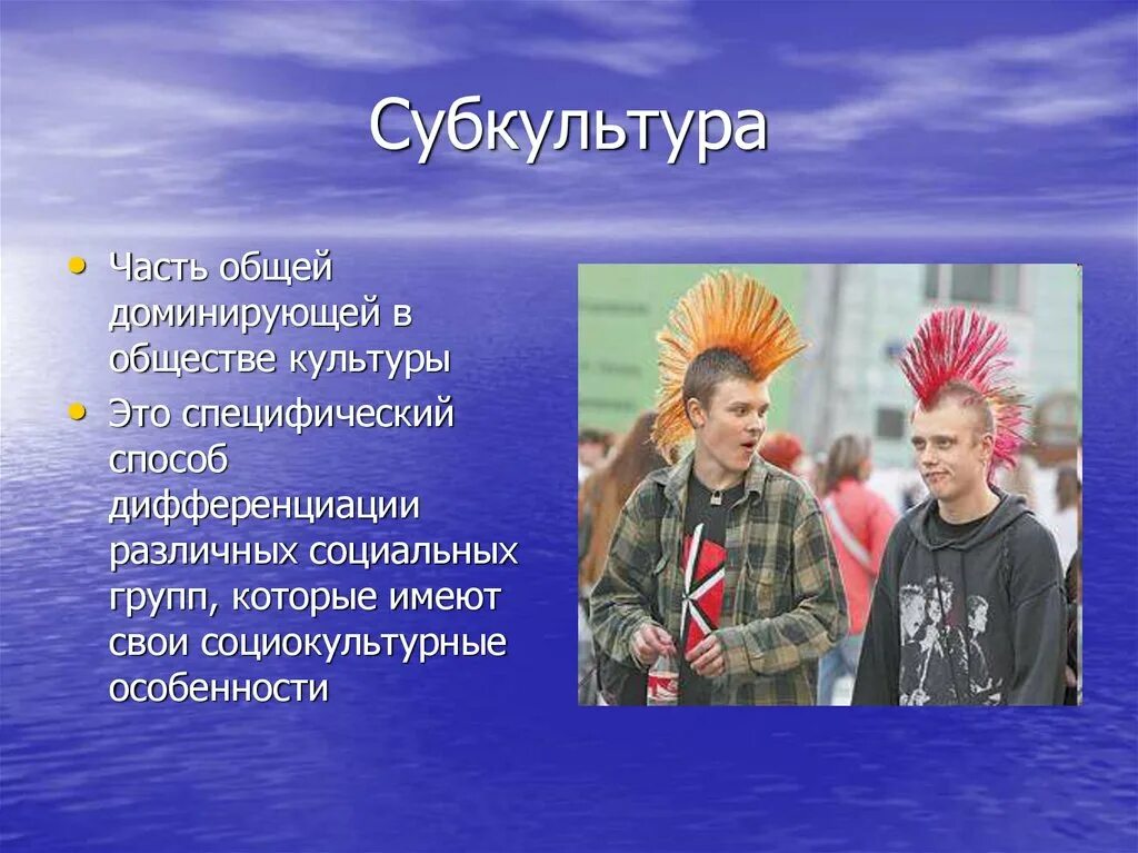 Молодежные субкультуры. Спортивные субкультуры. Субкультура и Контркультура. Молодёжные субкультуры в современном обществе.