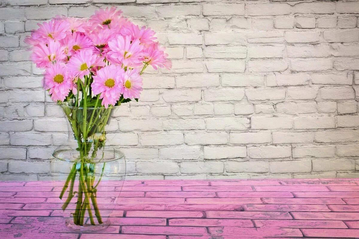 С днем рождения племяннице смешное. Фон цветы. Цветы на кирпичной стене. Букет на фоне кирпичной стены. Цветы на фоне кирпичной стены.