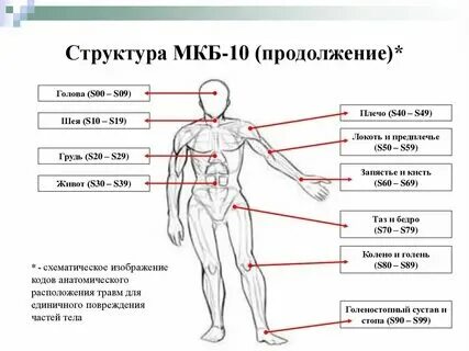 Укушенная рана мкб 10. Укушенная рана мкб 10