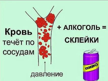 Напои допьяна