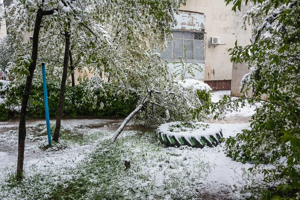 Какая погода в симферополе. Снег в Симферополе. Снегопад в Симферополе. Симферополь снег 2020. Симферополь в апреле.