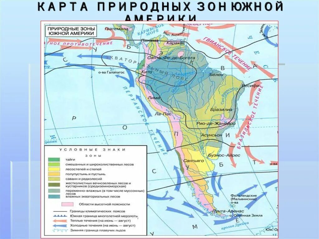 Природные зоны Южной Америки таблица 7 класс география. Природные зоны Южной Америки 7. Климатические зоны Южной Америки таблица. Природные зоны Южной Америки 7 класс география.