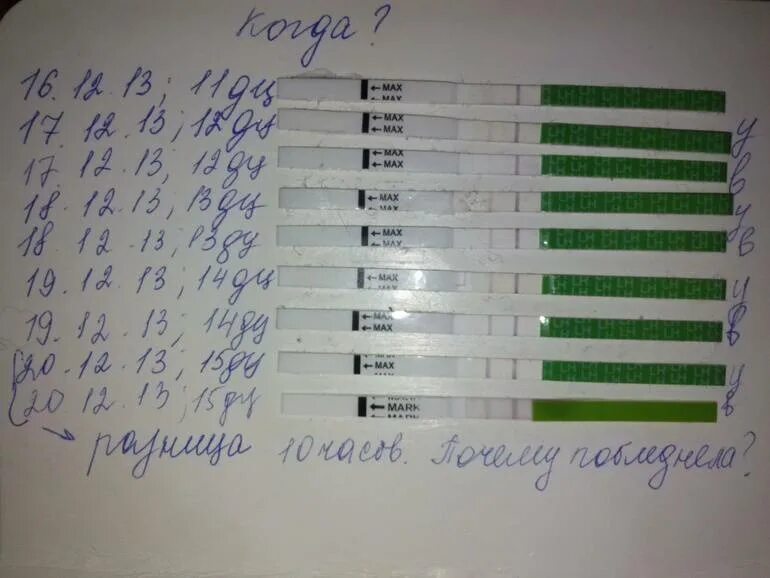 Тест на беременность почему утром лучше. Тест на овуляцию и беременность. тест на овуляцию показывает беременность. если тест на овуляцию отрицательный. покажет ли тест на овуляцию беременность.