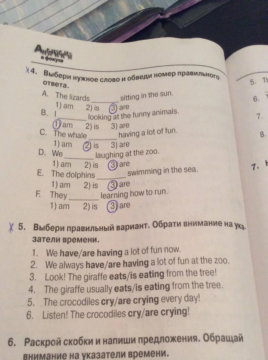 Четыре l ответы. Прочитай и обведи номер правильного ответа. Обведи правильный ответ. Выбрать правильный вариант ответа по английскому. Обведи правильный вариант ответа.