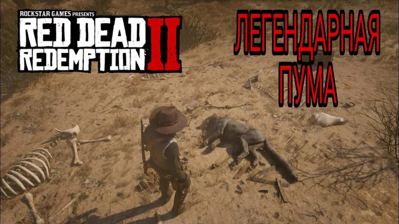 Легендарная пума. Легендарная Пума rdr 2. Пума РДР 2. Ред дед редемпшн 2 легендарная Пума. РДР 2 охота на пуму.