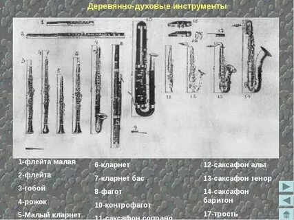 Деревянные духовые инструменты состав