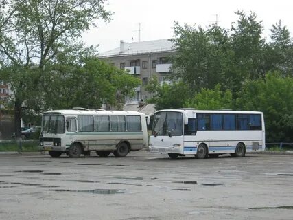 Шадринск регион