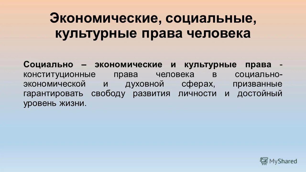 Конституционная защита экономических прав. Социально экономическиемправа.