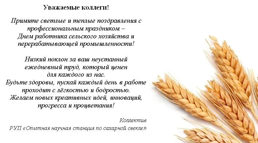 Поздравление с днем работника сельского хозяйства. Поздравление работников сельского хозяйства. Поздравление с днем работника сельского хозяйства. Поздравления с днем с/х работника. С днём сельского хозяйства и перерабатывающей здоровья поздравления.