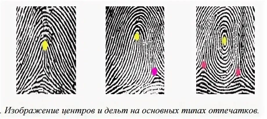 Типы дельт