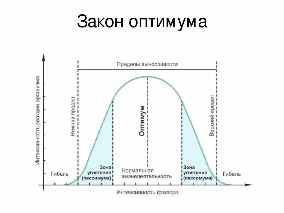 При какой температуре интенсивность роста максимальная. Схема действия экологического фактора. Зона экологического оптимума. Законы экологии закон оптимума минимума. Влияние экологических факторов на организмы схема.