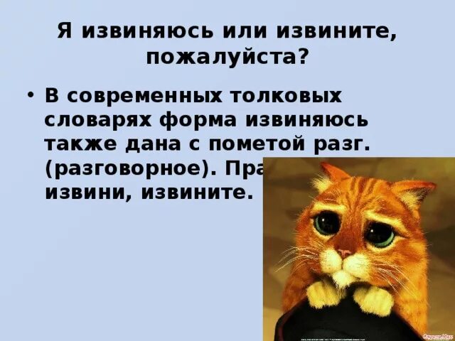 Как правильно писать извините. Извиняюсь или извините. извинение или извинения. извените или извините как пишется. я извиняюсь или извините пожалуйста.