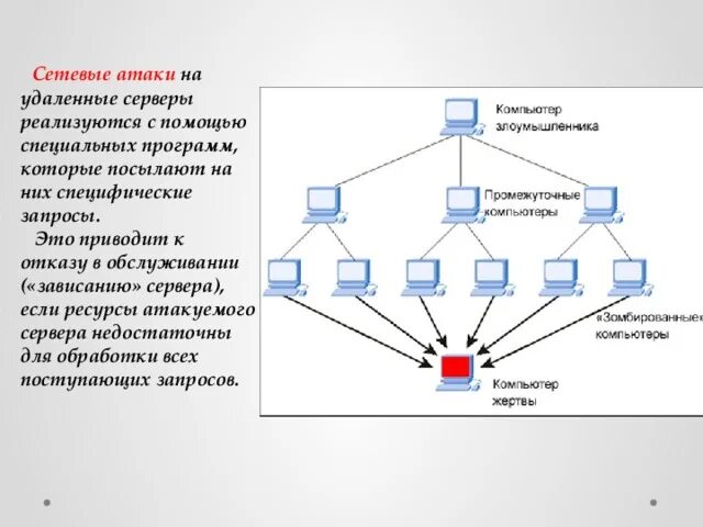 Сетевые атаки. Сетевые атаки
