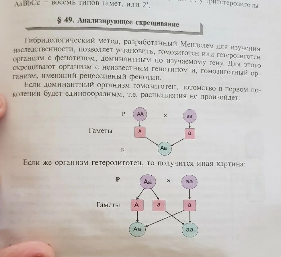 Гомозигота по рецессивному гену. Гомозигота по рецессивному гену