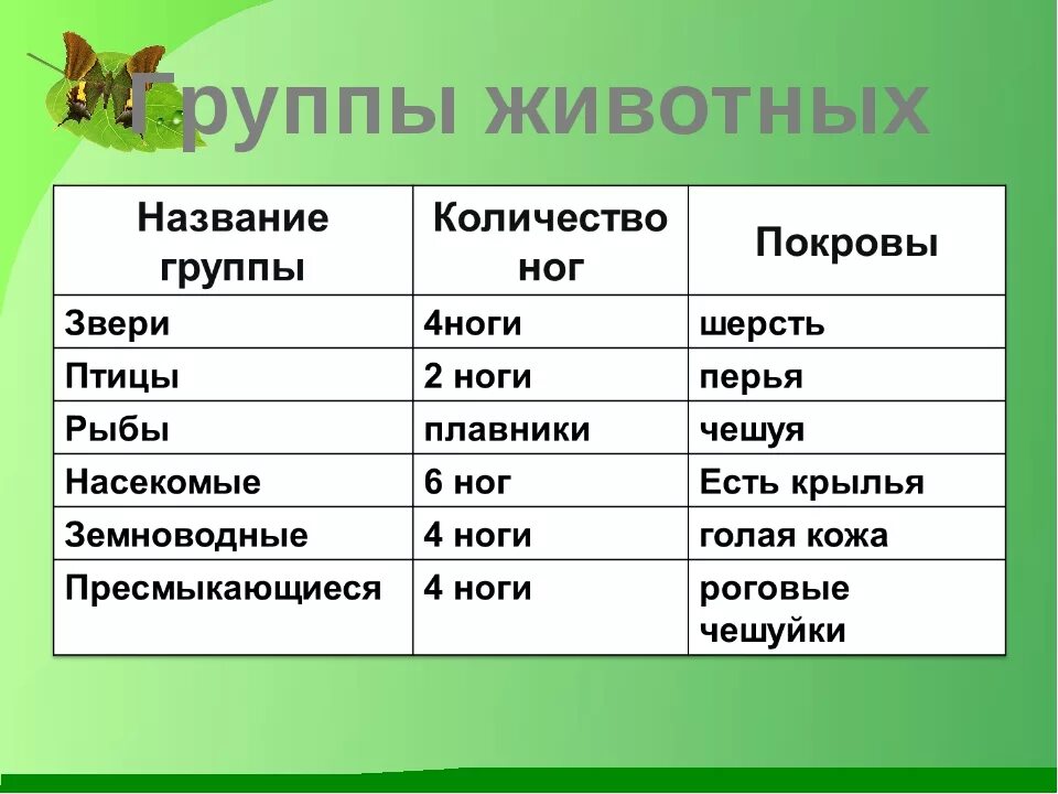 Классификация животных окружающий мир 3 класс. Таблица по окружающему миру 2 класс группы животных. Группы живого. Названия групп животных. Группы животных 3 класс таблица.